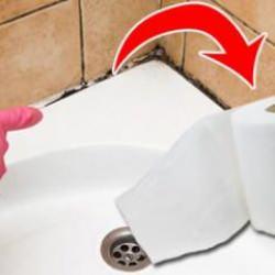 Banyo küfü nasıl temizlenir? Banyo küfü temizlemede tuvalet kağıdı hilesi!