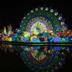 Dubai'de 'Garden Glow' mest ediyor