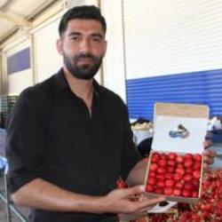 Dünya ülkeleri Manisa kirazını tercih ediyor