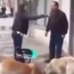 Kastamonu'da 'hayvan sever'le esnafın 'köpek maması' kavgası
