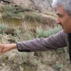 Kayseri'de tarihi keşif: 10 Milyon yıllık orman bulundu