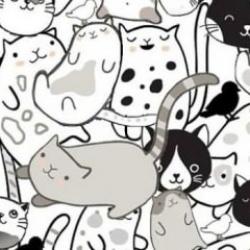 Kedilerin arasında kaç tane kuş görüyorsunuz? Gördüğünüz kuş sayısı kişiliğiniz hakkında neler söylüyor?