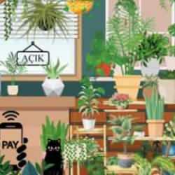 Sadece keskin bir görüşe sahip kişiler 9 saniye içerisinde kaktüsün nerede olduğunu bulabilir