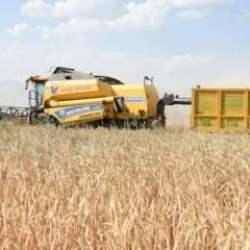 Tarım ÜFE nisanda aylık ve yıllık bazda arttı