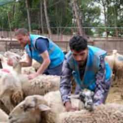 TDV'den 'İlk Kurbanım İlk İyiliğim' kampanyası 