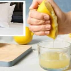 Yastıklar nasıl yıkanmalı? Viral limon suyu ile yastık yıkama hilesi gerçek mi?