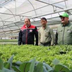 Bölgenin fidesi Erzincan’dan