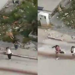 Dehşet anları kamerada! Başıboş k&ouml;pekler &ouml;ğrencilere saldırdı