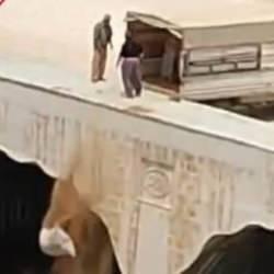 Dereye hayvan pisliği bırakırken g&ouml;r&uuml;nt&uuml;lendi; g&ouml;zaltına alındı