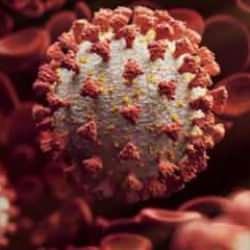 D&uuml;nya Sağlık &Ouml;rg&uuml;t&uuml;'nden endişelendiren Koronavir&uuml;s a&ccedil;ıklaması