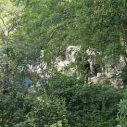 İspir'de freni boşalan kamyon &Ccedil;oruh Nehri'ne u&ccedil;tu!  &Ouml;l&uuml; ve yaralılar var