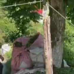 Rizeli’nin çay taşıma yöntemi ilgi çekti