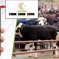 "Tarım Cebimde" ile 3 adımda kurbanlık sorgulama