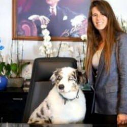 CHP'li Çeşme Belediye Başkanı Lal Denizli, makam koltuğuna köpek oturttu