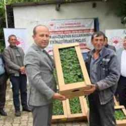 Çiftçilere devlet destekli bostan fidesi dağıtılıyor
