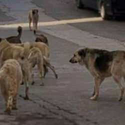 Çok sayıda ülkeden Türkiye'ye seyahat uyarısı! Korkunç rakamlar açıklandı