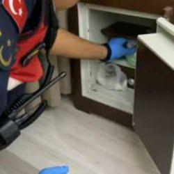 İhbara giden jandarma ekipleri kasanın i&ccedil;inde buldu: Değeri 1 milyon lira!