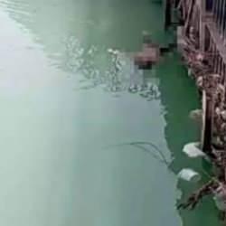 Kayıp liseli Senem'den acı haber geldi!