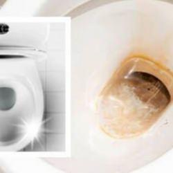 Sadece 1 saat içerisinde tuvalet kirecini söküp atın! Tuvalet kireci nasıl temizlenir?