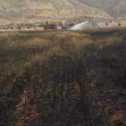 Şırnak'ta 200 d&ouml;n&uuml;m ekili buğday yandı