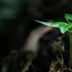 TCL'in 2023 ÇSY Raporu yayımlandı!