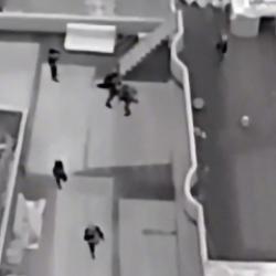 12 ayrı uyuşturucu suç çetesi çökertildi. 282 şüpheli yakalandı