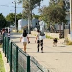 Başıboş köpeklerin saldırısına uğramıştı: 7 yaşındaki Duru evden çıkamıyor