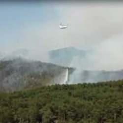 Bursa'da orman yangınına savcılık soruşturması