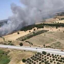 &Ccedil;anakkale'de ormanlık alanda yangın!