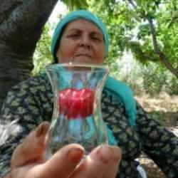 Çay bardağına bile sığmıyor, kilosu 250 TL!  Kapış kapış satılıyor