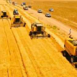 Buğday ihracatı 4 milyon ton bandını zorlayacak
