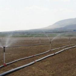 Niğde'de kuraklığa dayanıklı tohum ekildi