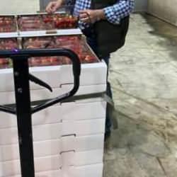 S&ouml;ke&rsquo;de 1 ayda bin 256 ton tarımsal &uuml;r&uuml;n ihra&ccedil; edildi