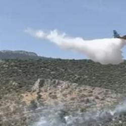 S&ouml;ke'de zeytinlik alandaki yangın s&ouml;nd&uuml;r&uuml;ld&uuml;