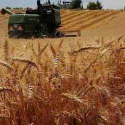 TARSİM'den Sigorta Şirketleri Bilgilendirme Toplantısı
