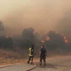 Aydın’da orman yangını