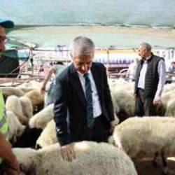 Başkan Tahmazoğlu kurban fiyatlarını düşürdü