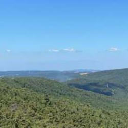 Çanakkale'de orman yangını