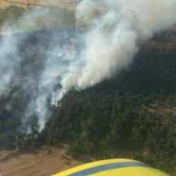 &Ccedil;anakkale'deki orman yangınında 5 hektar alan zarar g&ouml;rd&uuml;