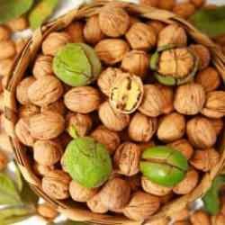 Her gün aç karnına ceviz yemenin faydaları nelerdir? Günde en fazla kaç ceviz yenmeli?