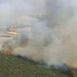 Manisa'da orman yangını 