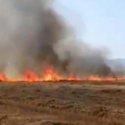 Mardinde korkutan yangın