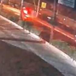 Marmaris'te feci kaza: Ölü ve yaralılar var! 