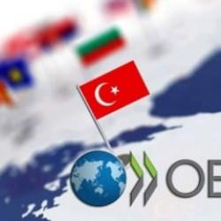 OECD ilan etti: Türkiye ilk sıraya yerleşti