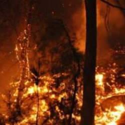 PKK talimatıyla orman yakan hükümlü cezaevinde de yastık ve battaniyeyi ateşe verdi