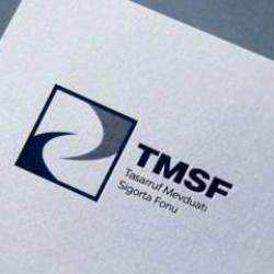 TMSF, üç şirketi satışa çıkardı