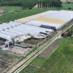 Tokat'ta kuvvetli r&uuml;zgar, &ccedil;i&ccedil;ek serasını yıktı