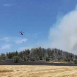 Beş ilimizde orman yangını! Ekipler havadan ve karadan m&uuml;dahale ediliyor
