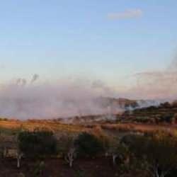 BM'den Mavi Hat boyunca ateşkes çağrısı