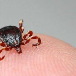 Bu sefer yer Yozgat! KKKA hastalığı şüphesiyle tedavi gören kişi öldü